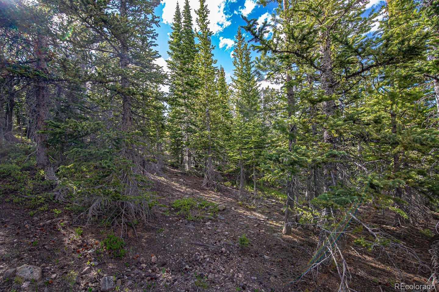 111 Mosquito Creek Road Black Hawk CO 80422