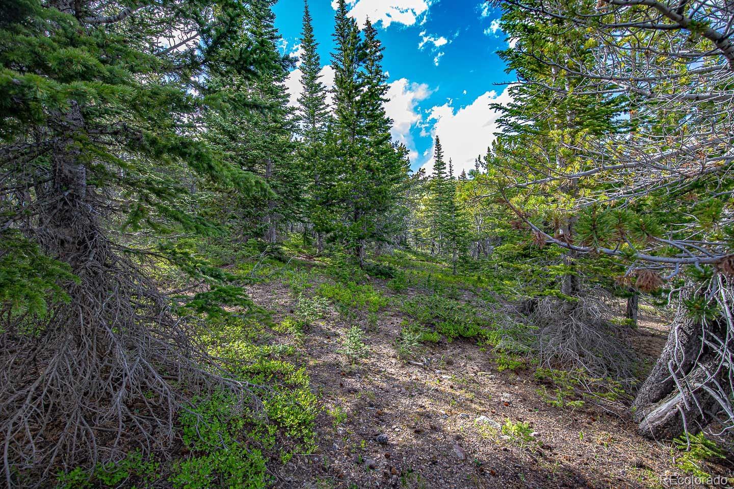 111 Mosquito Creek Road Black Hawk CO 80422