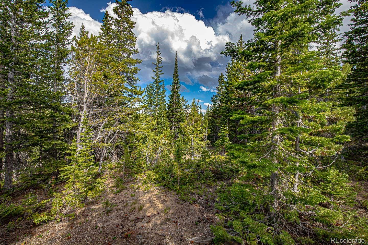 111 Mosquito Creek Road Black Hawk CO 80422