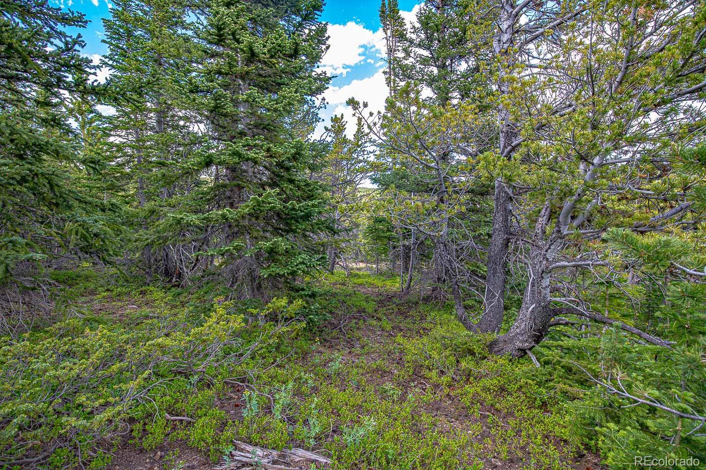 111 Mosquito Creek Road Black Hawk CO 80422