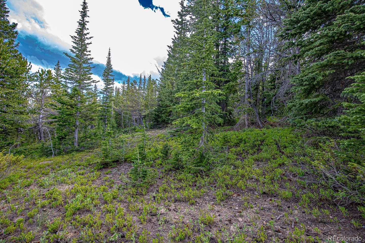 111 Mosquito Creek Road Black Hawk CO 80422