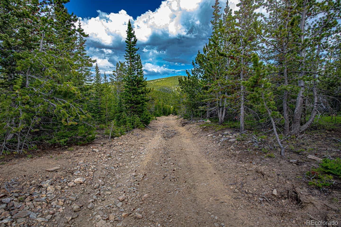 111 Mosquito Creek Road Black Hawk CO 80422