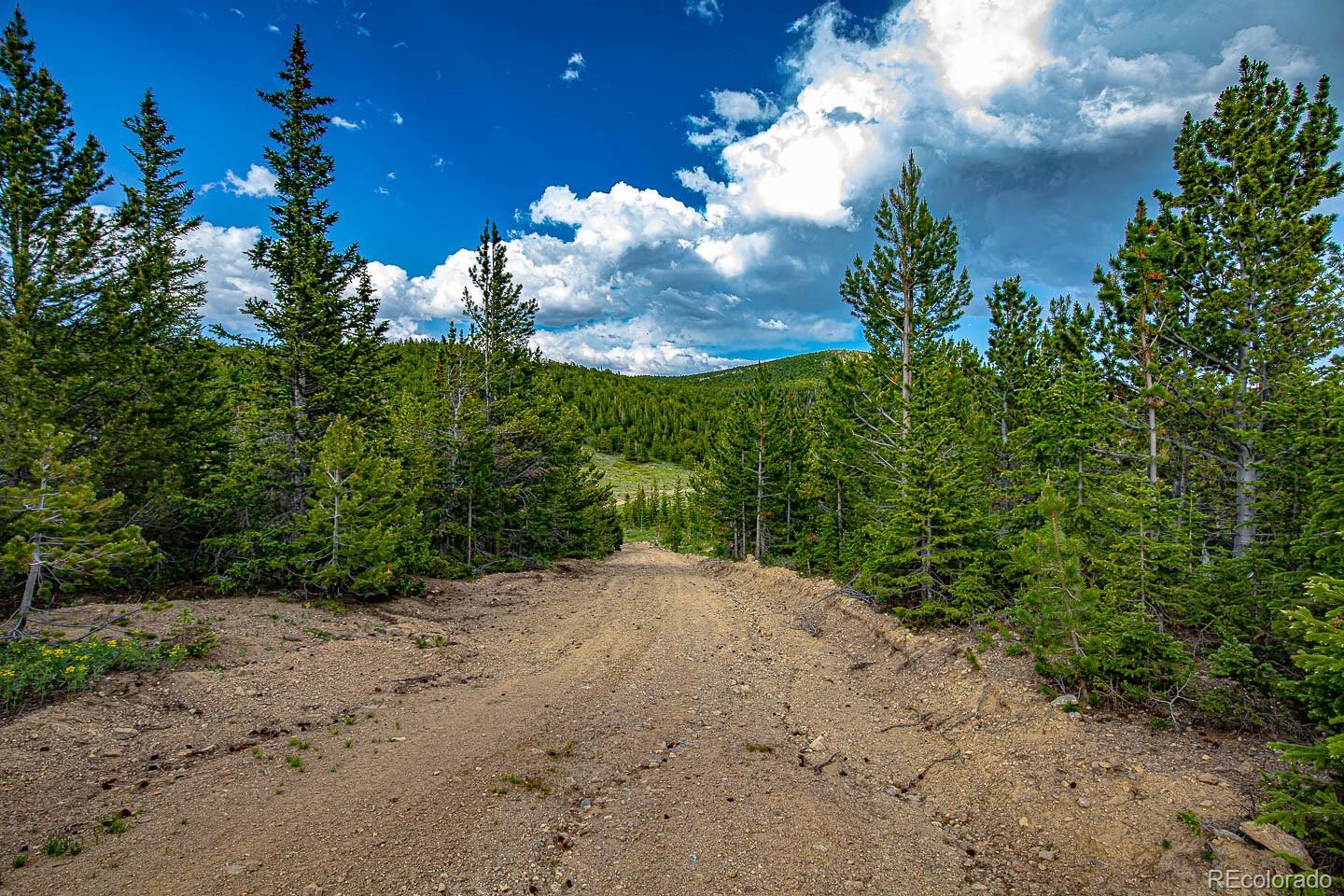 111 Mosquito Creek Road Black Hawk CO 80422