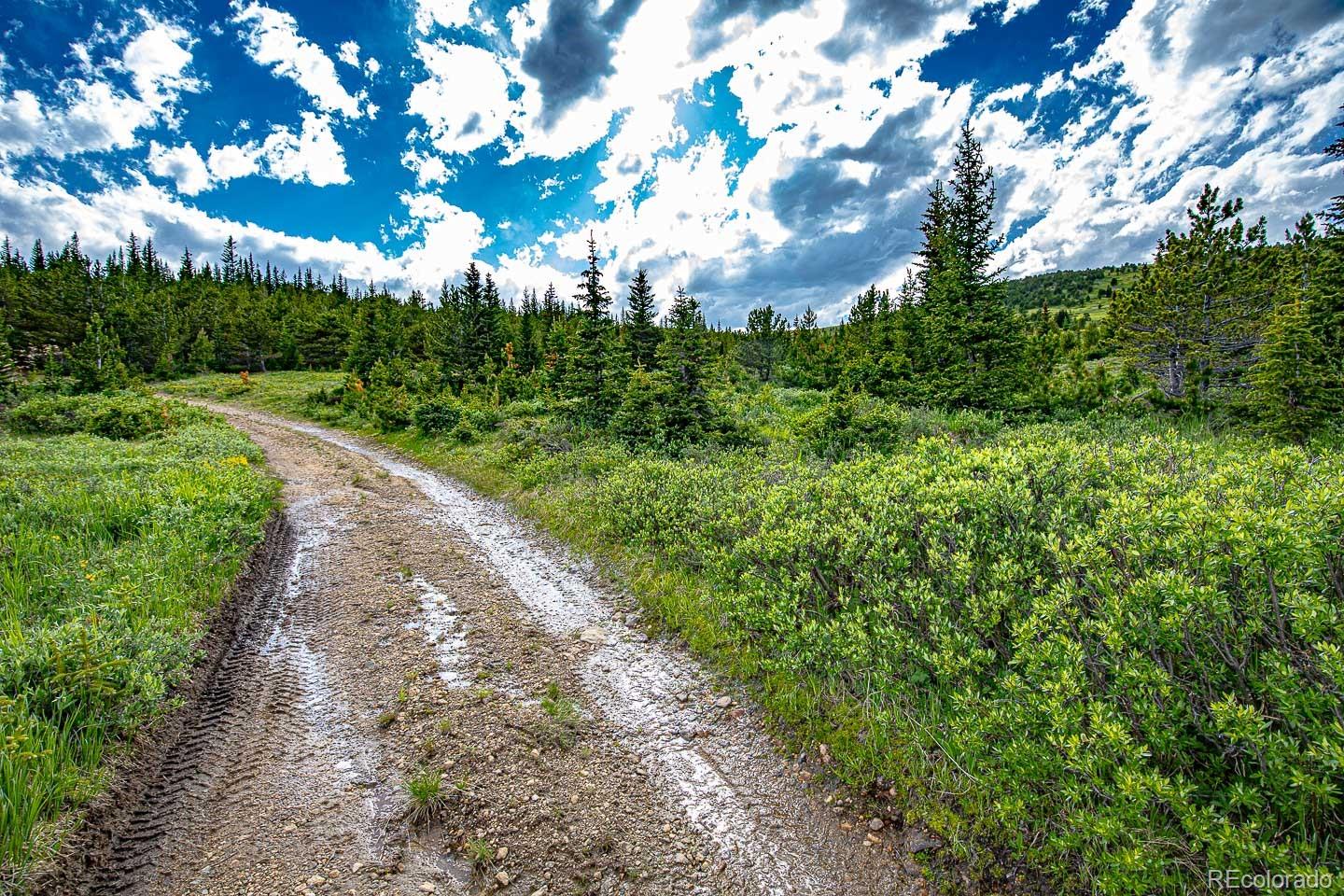 111 Mosquito Creek Road Black Hawk CO 80422