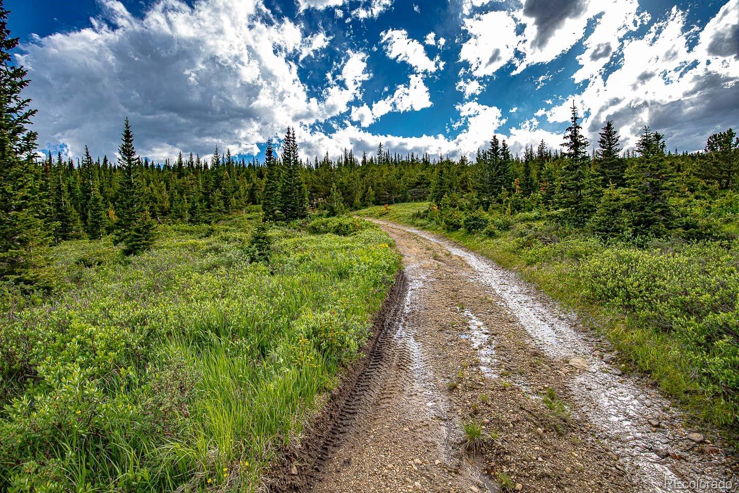 111 Mosquito Creek Road Black Hawk CO 80422