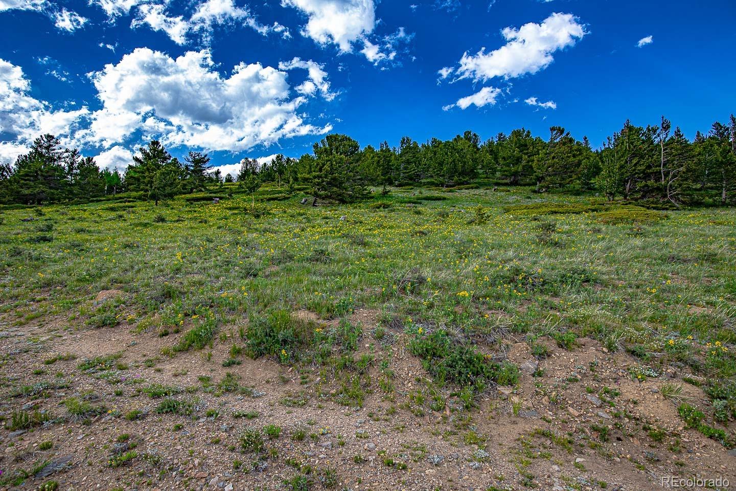 111 Mosquito Creek Road Black Hawk CO 80422
