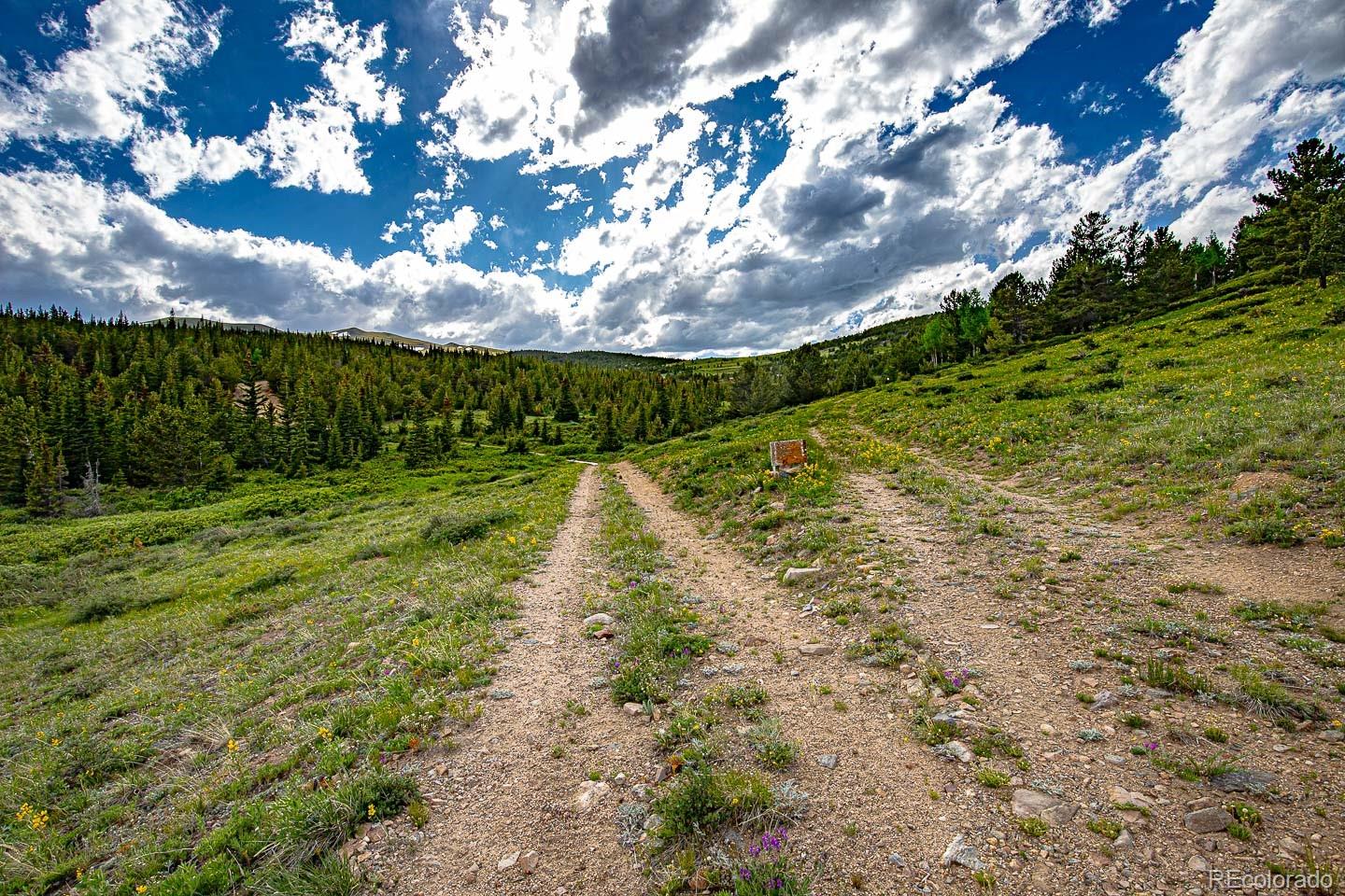 111 Mosquito Creek Road Black Hawk CO 80422