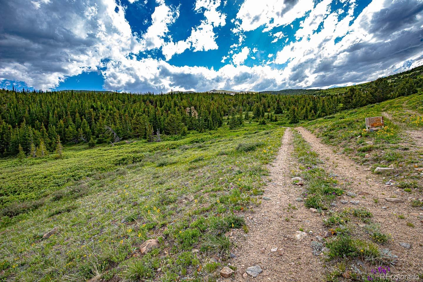 111 Mosquito Creek Road Black Hawk CO 80422