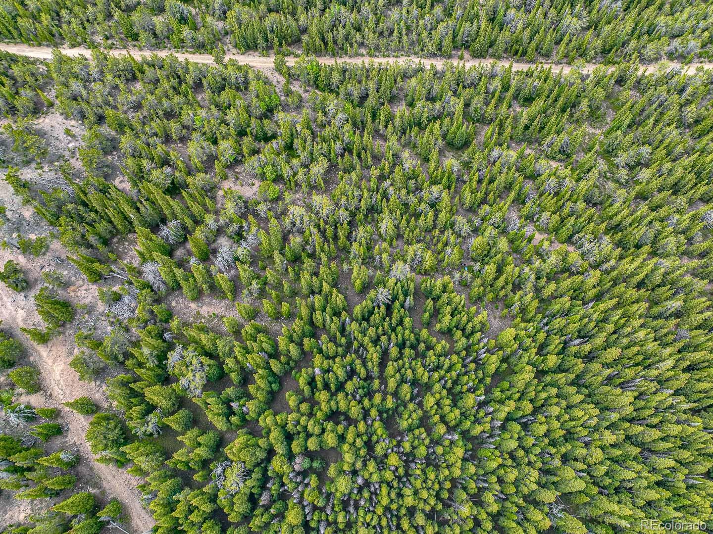 111 Mosquito Creek Road Black Hawk CO 80422