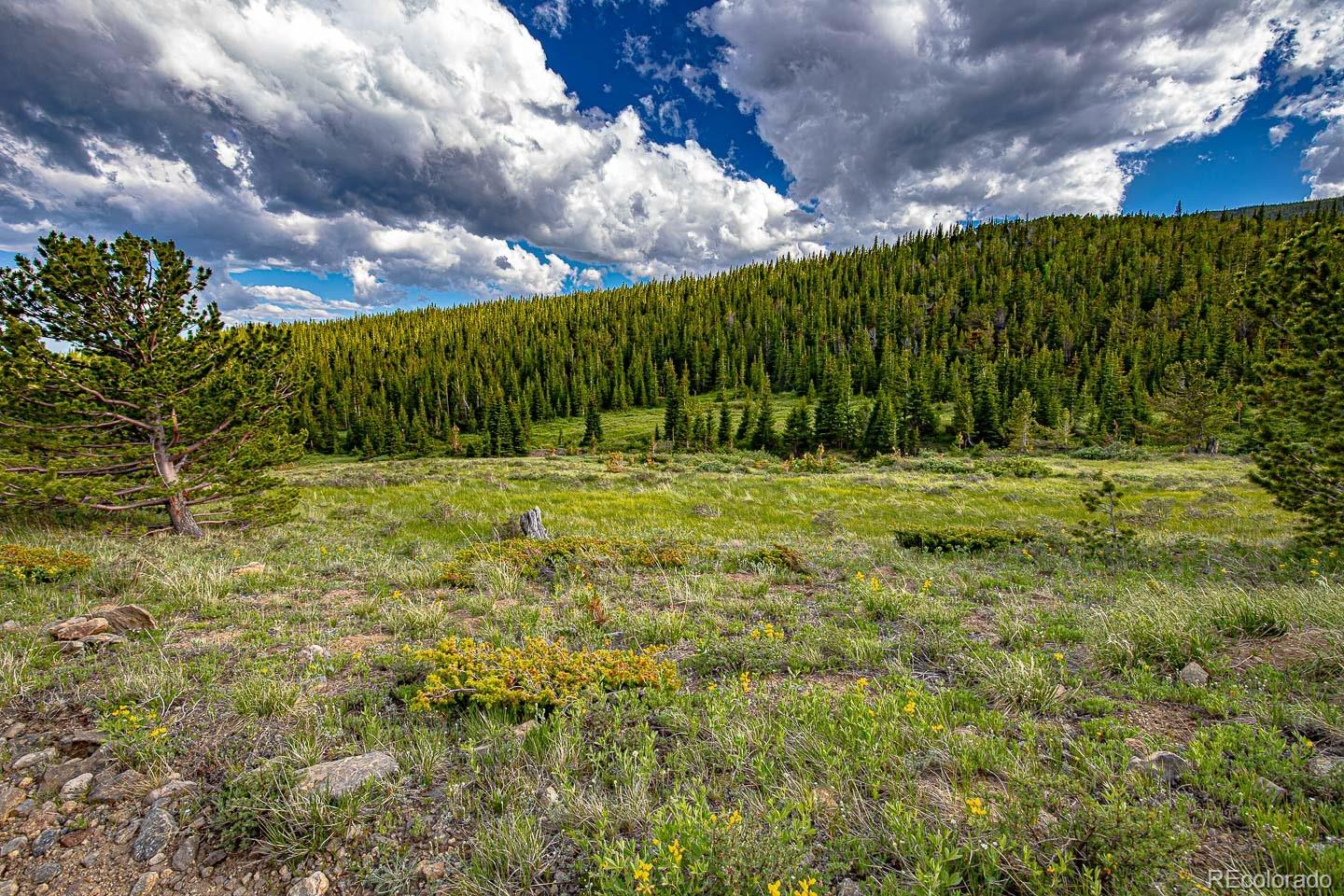 111 Mosquito Creek Road Black Hawk CO 80422
