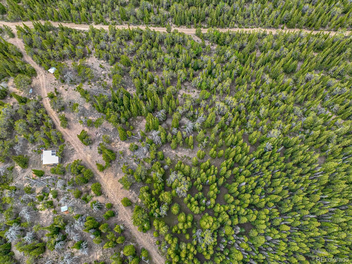 111 Mosquito Creek Road Black Hawk CO 80422