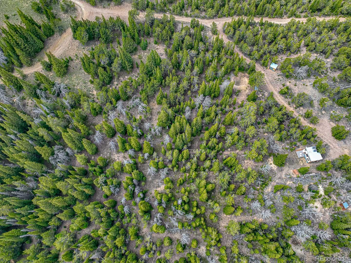 111 Mosquito Creek Road Black Hawk CO 80422