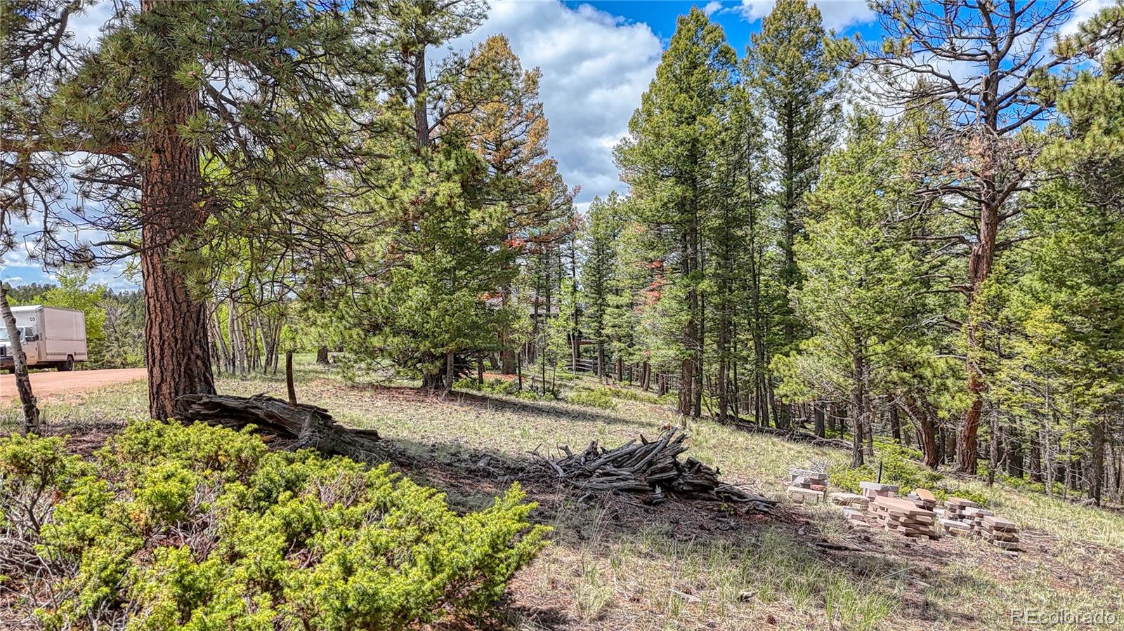 26 N Eldorado Circle Florissant CO 80816