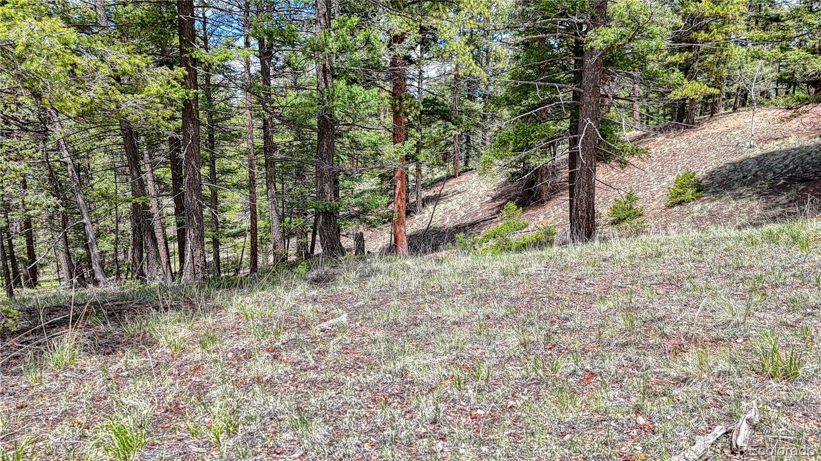 26 N Eldorado Circle Florissant CO 80816