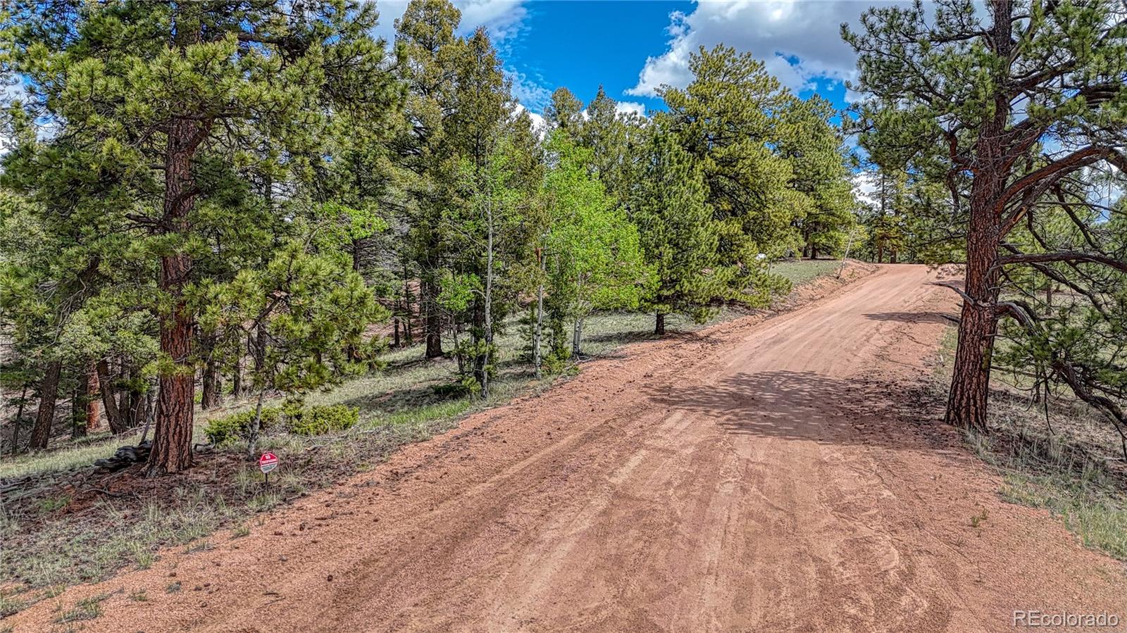 26 N Eldorado Circle Florissant CO 80816