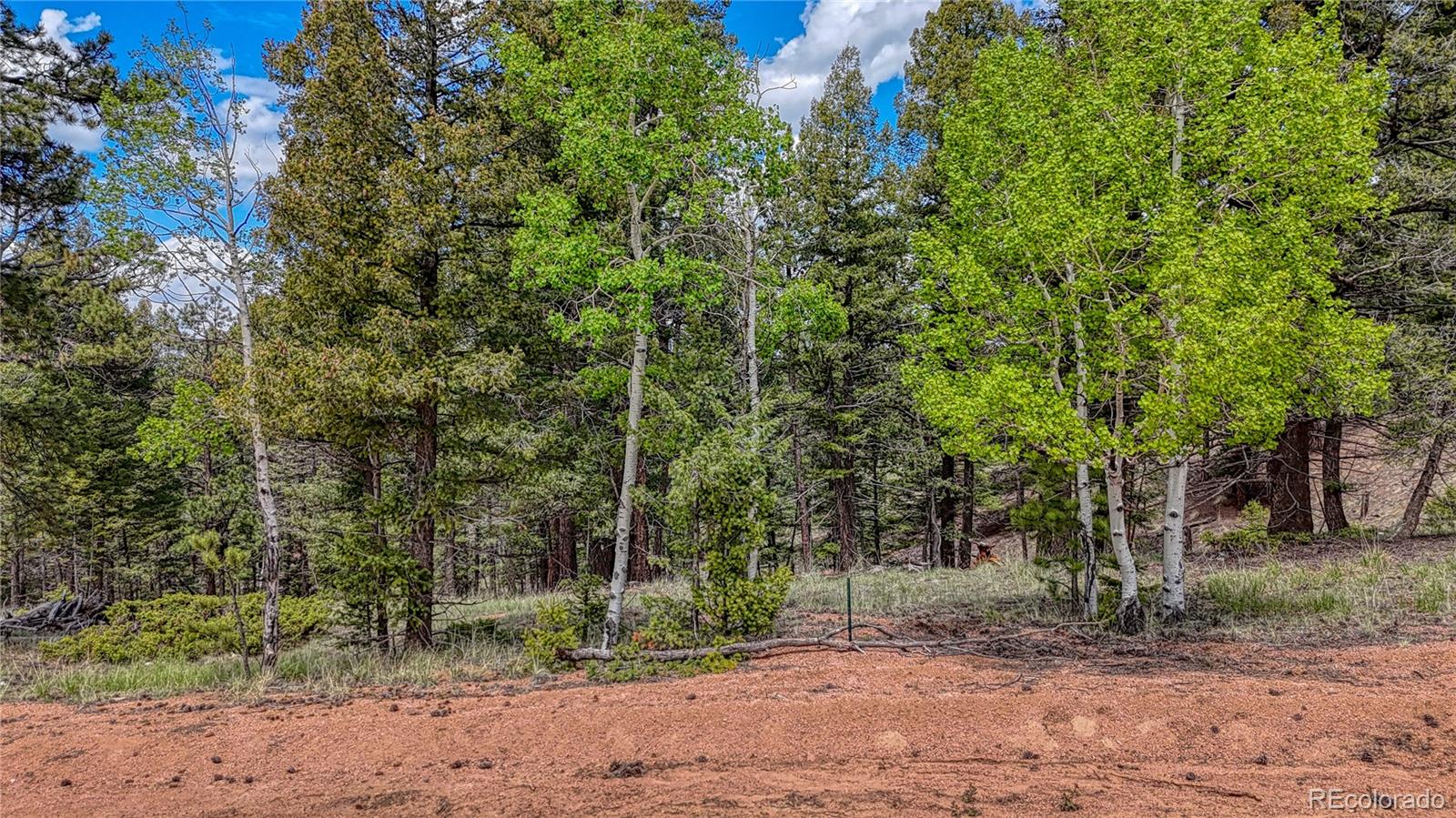 26 N Eldorado Circle Florissant CO 80816