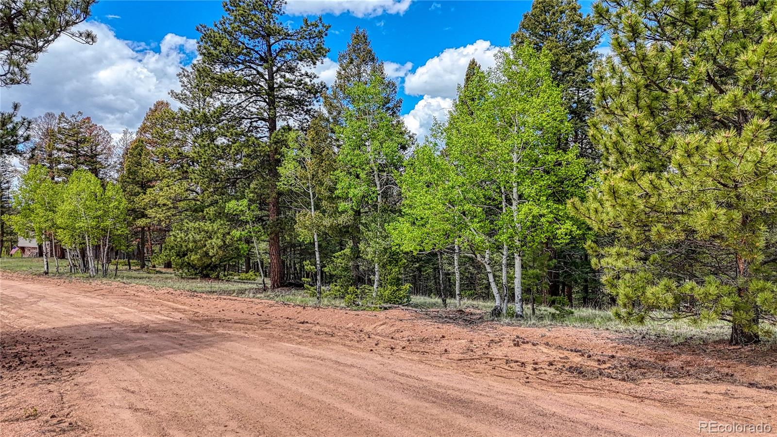 26 N Eldorado Circle Florissant CO 80816