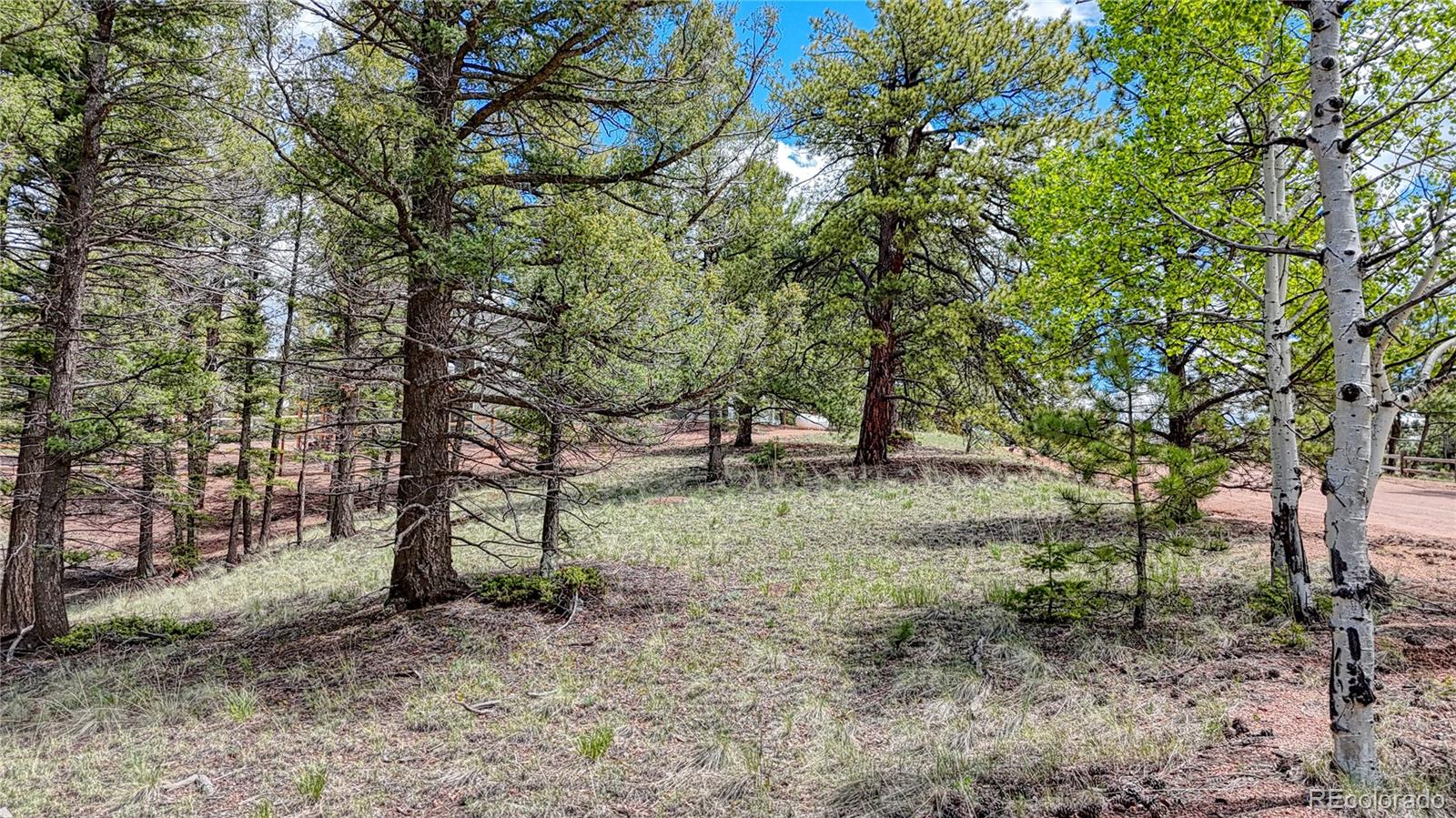26 N Eldorado Circle Florissant CO 80816
