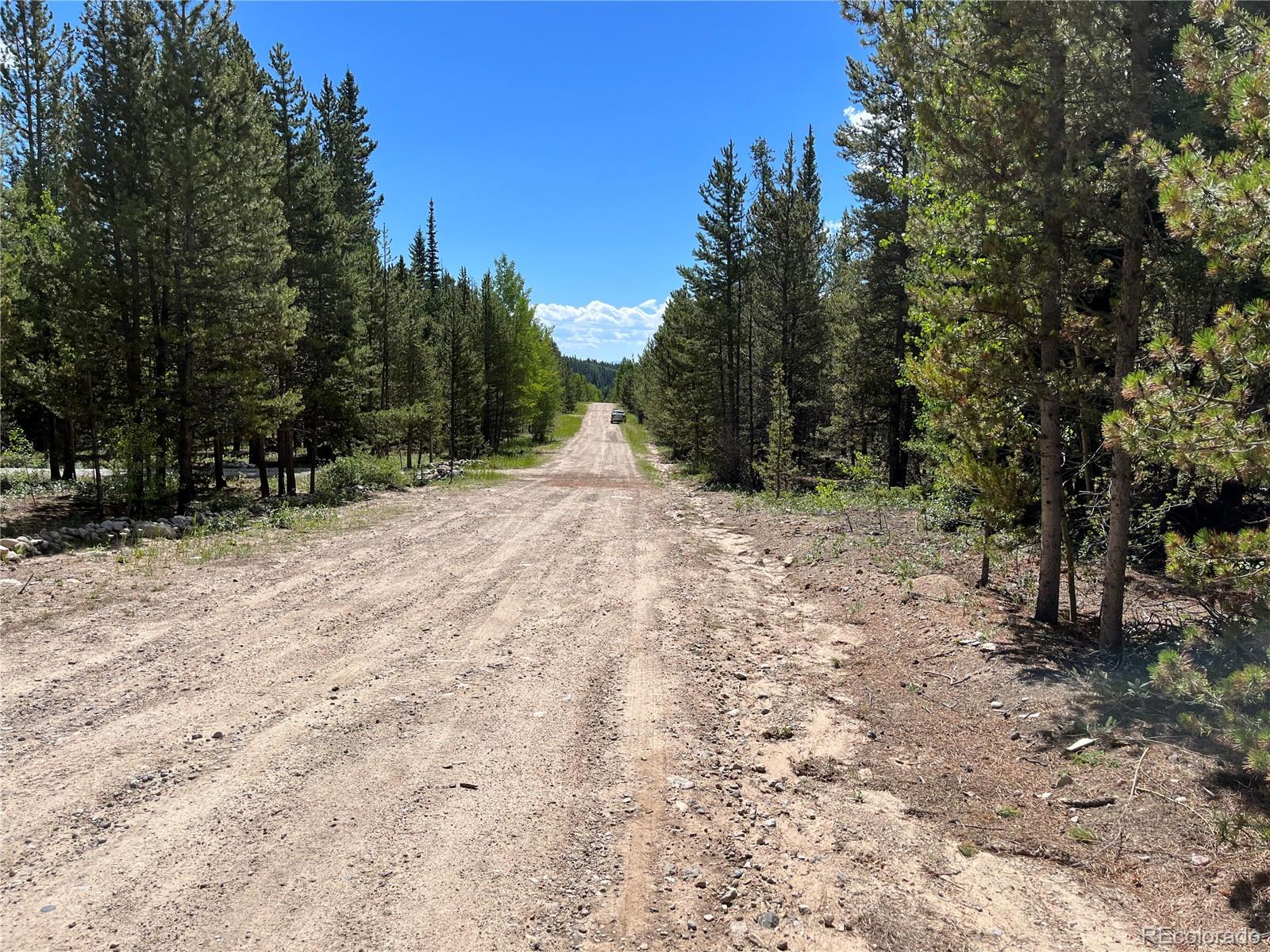 235 Ski Doo Road Fairplay CO 80440