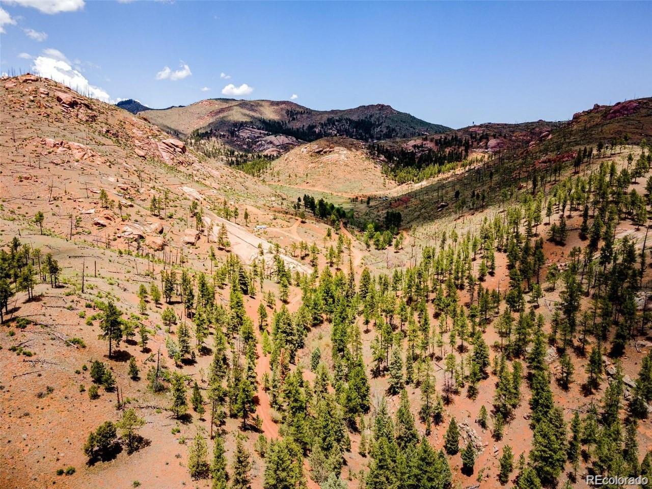 16320 Cochise Trail Pine CO 80470