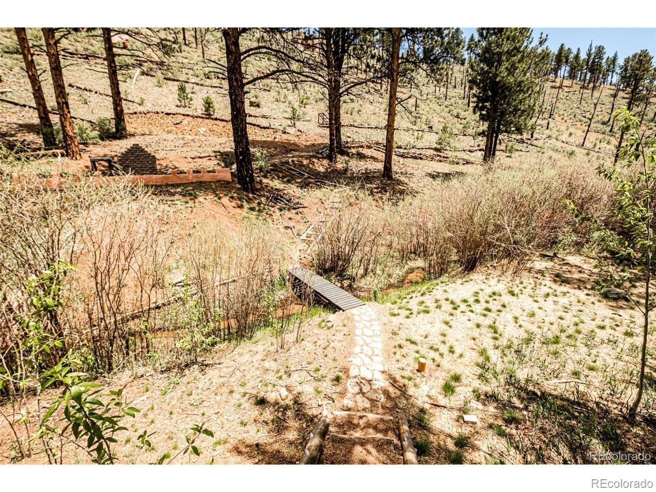 16320 Cochise Trail Pine CO 80470