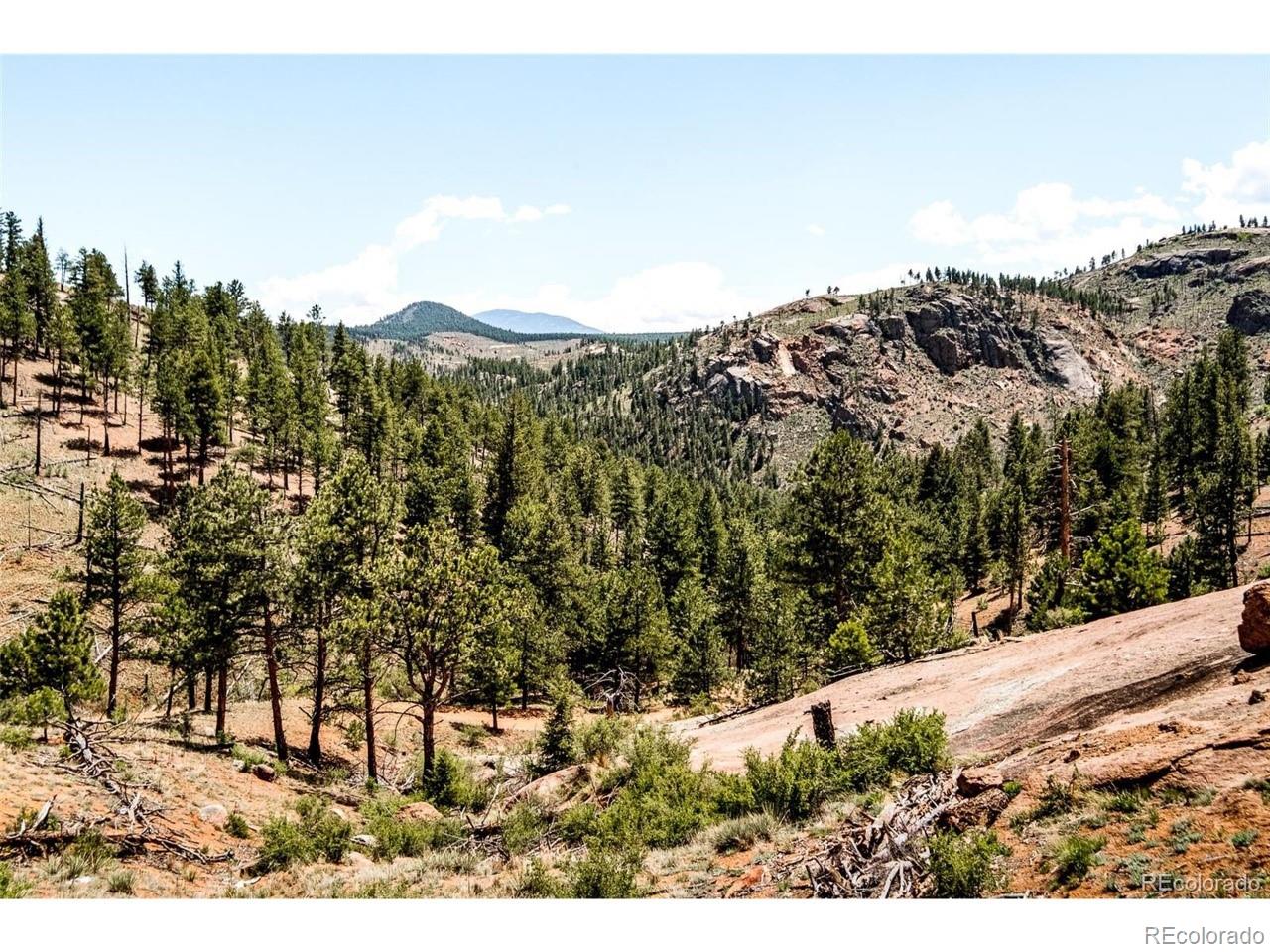 16320 Cochise Trail Pine CO 80470