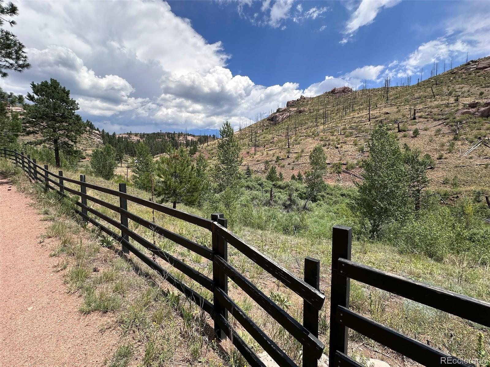 16320 Cochise Trail Pine CO 80470