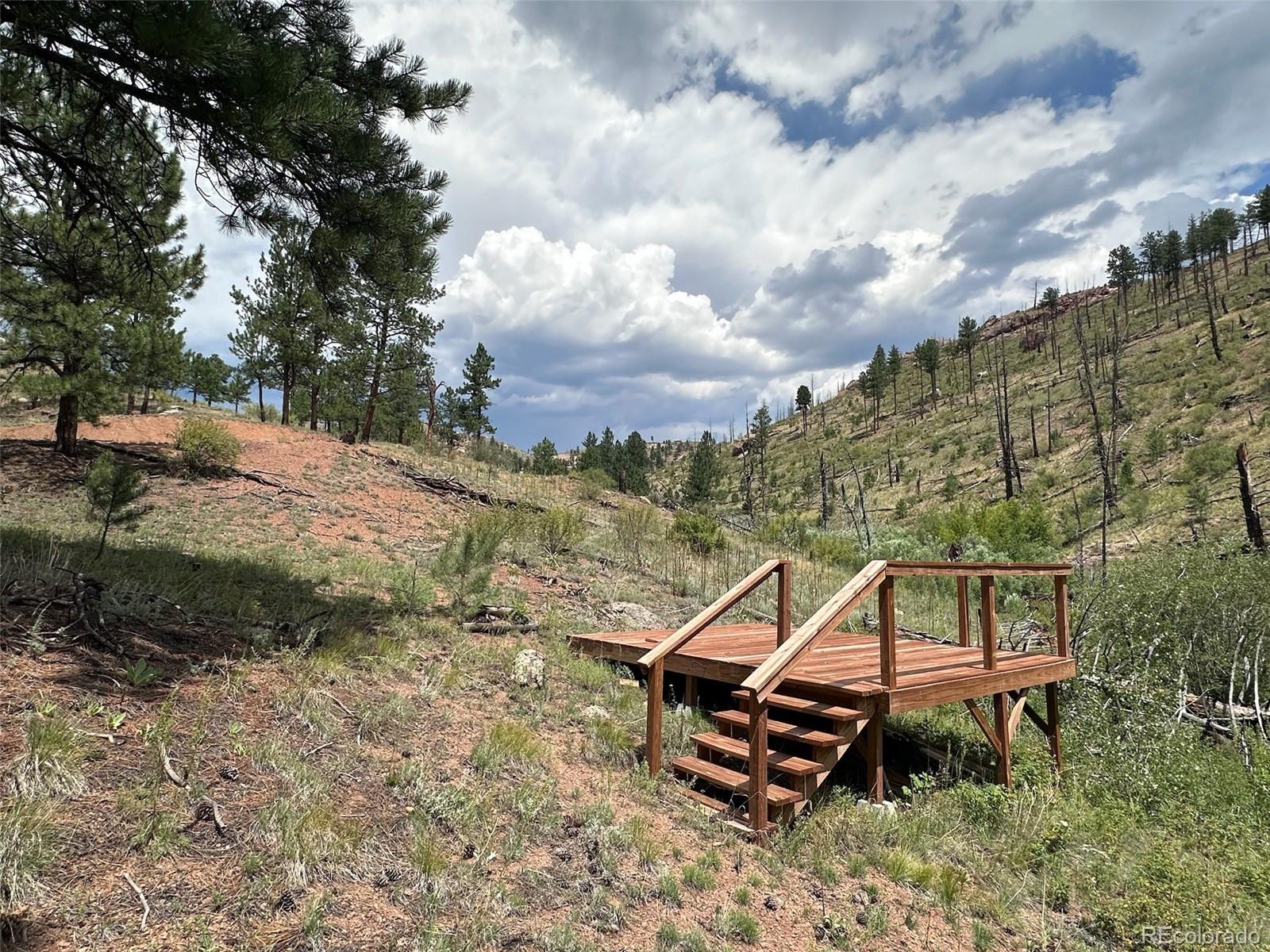 16320 Cochise Trail Pine CO 80470