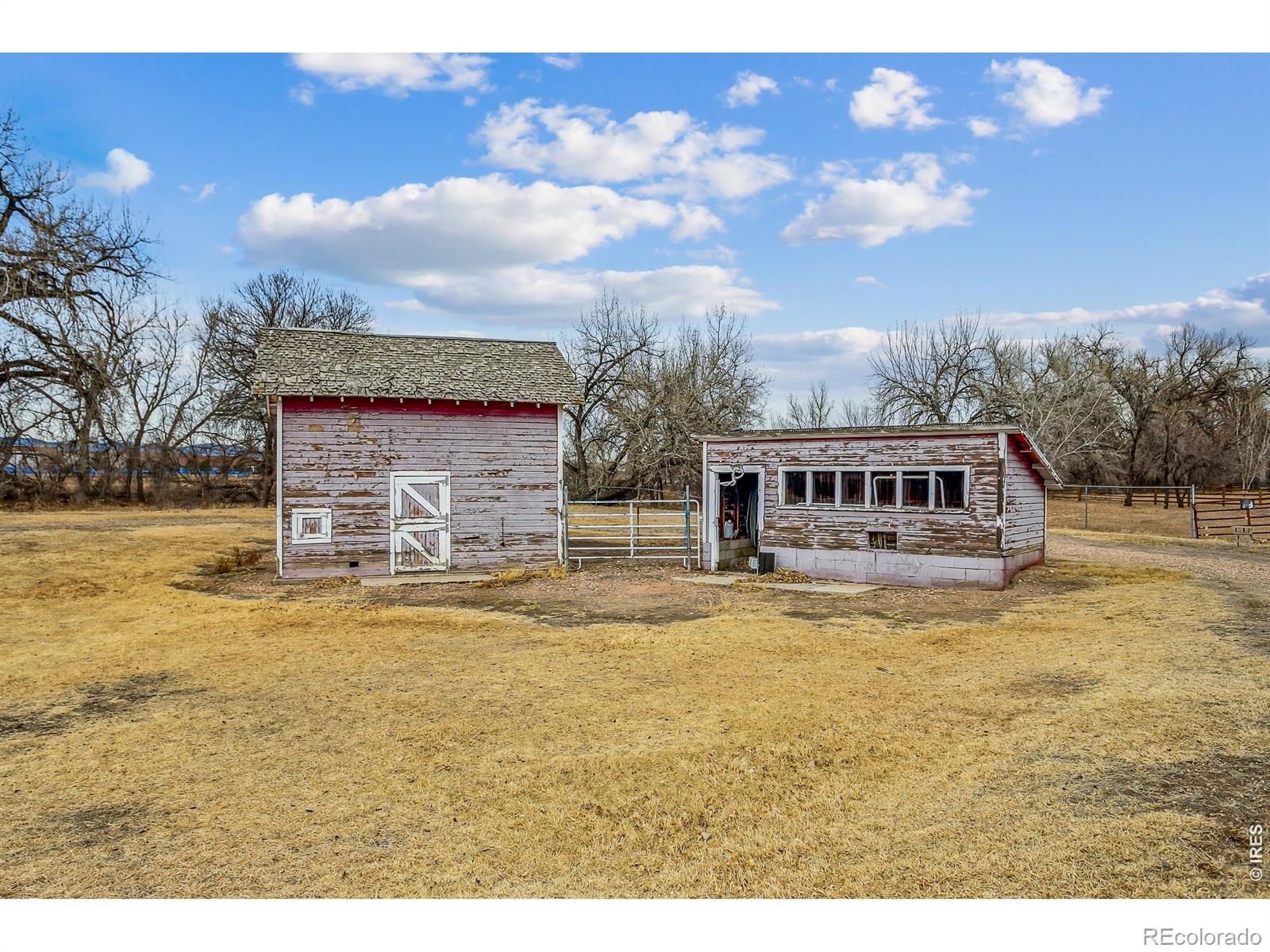 4319 Dixon Street Timnath CO 80547