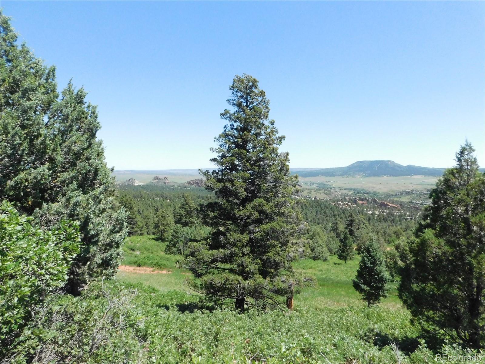 5900 Pawnee Road Larkspur CO 80118