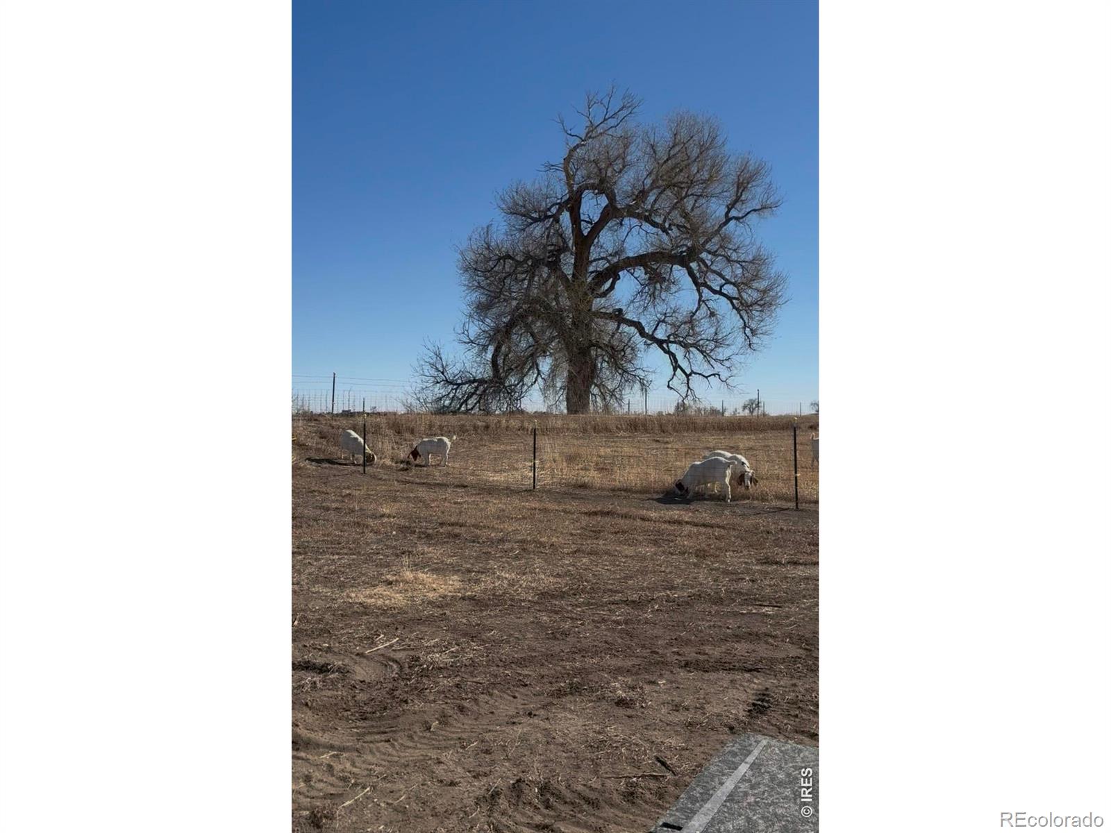 1932 N County Road 23 Berthoud CO 80513