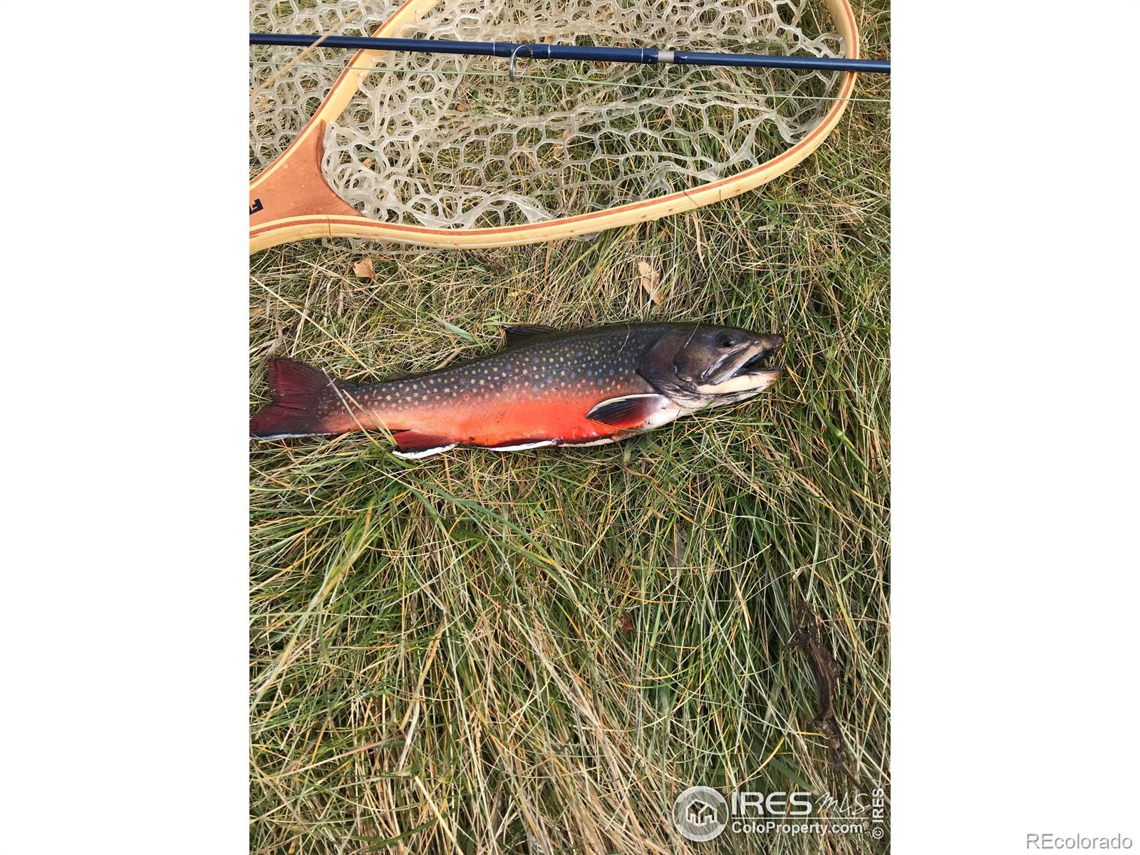 2 Fox Meadow Lane Red Feather Lakes CO 80545