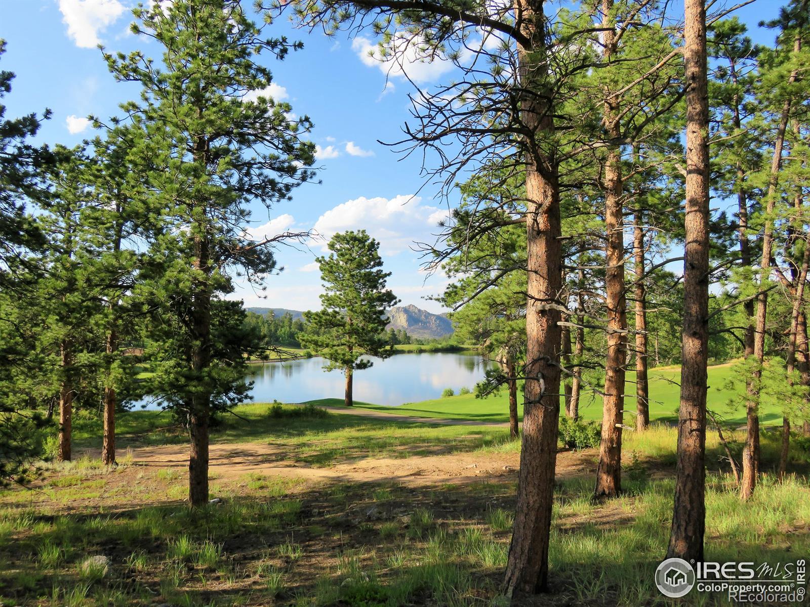 2 Fox Meadow Lane Red Feather Lakes CO 80545