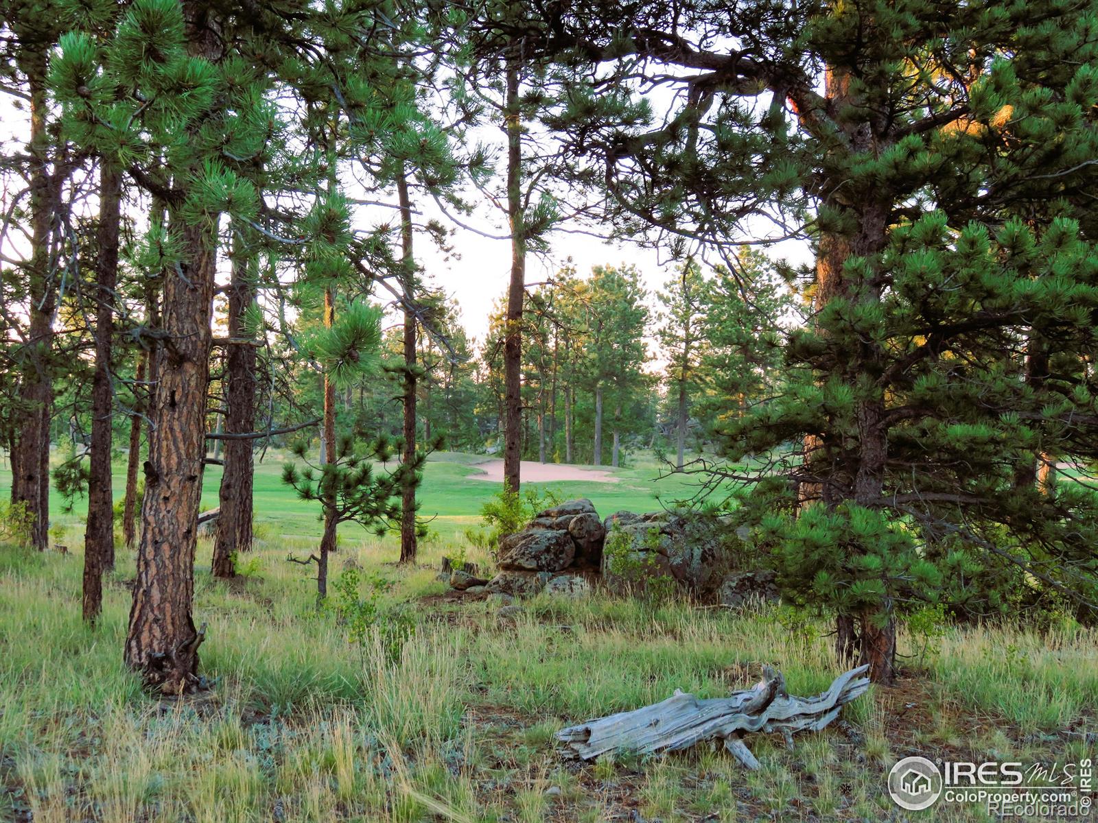 2 Fox Meadow Lane Red Feather Lakes CO 80545