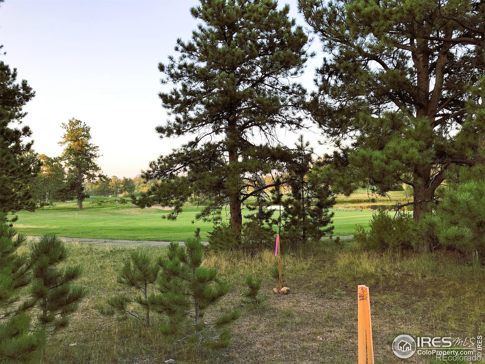 2 Fox Meadow Lane Red Feather Lakes CO 80545