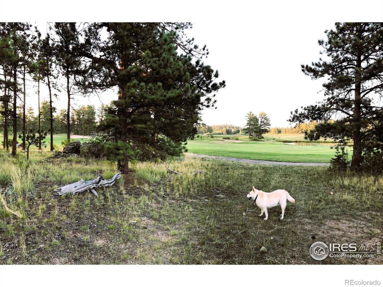 2 Fox Meadow Lane Red Feather Lakes CO 80545