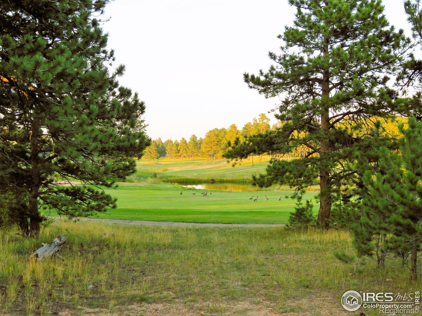 2 Fox Meadow Lane Red Feather Lakes CO 80545