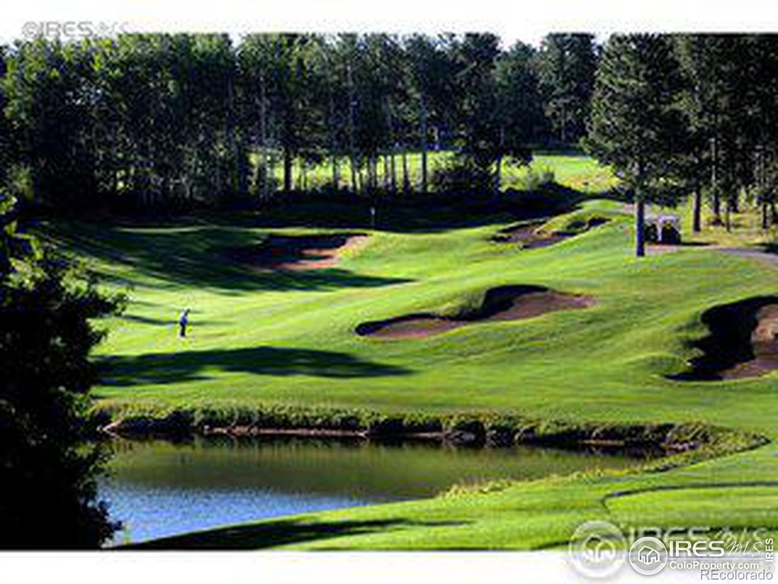 2 Fox Meadow Lane Red Feather Lakes CO 80545