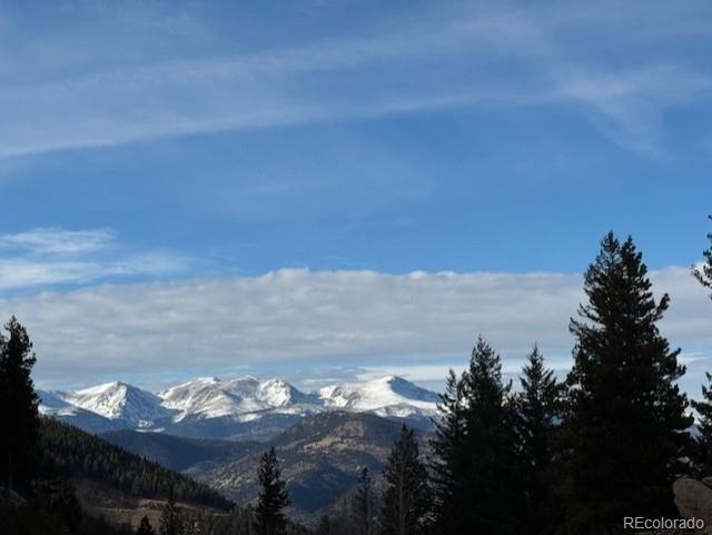 1695 Packsaddle Trail Evergreen CO 80439
