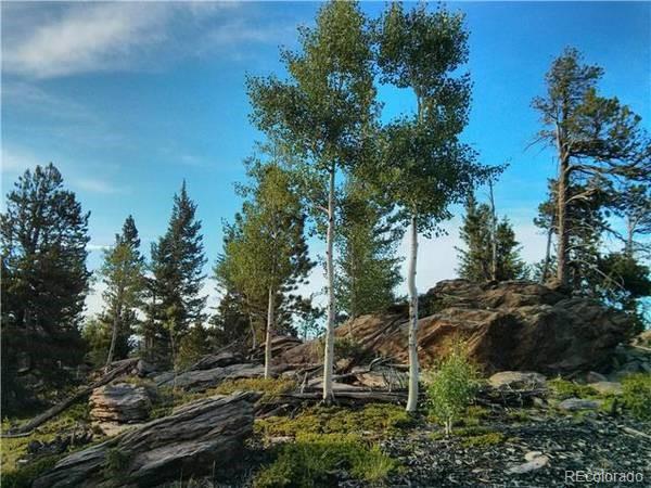 1695 Packsaddle Trail Evergreen CO 80439