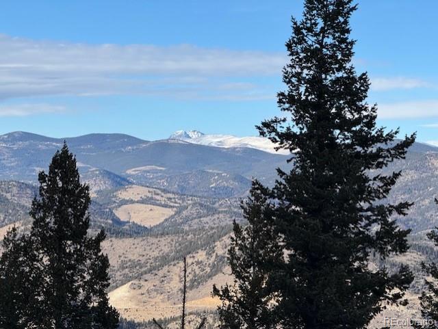 1695 Packsaddle Trail Evergreen CO 80439
