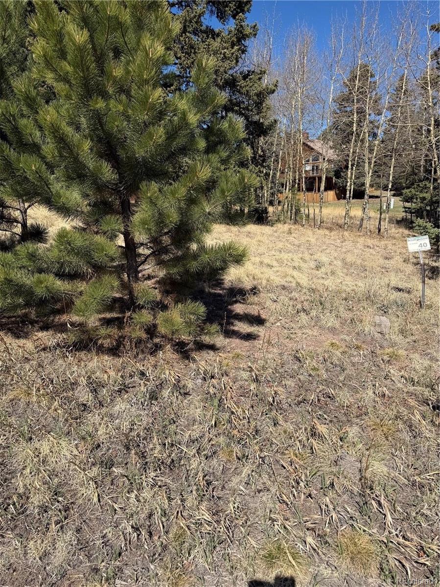 405 Meadow Park Drive Divide CO 80814