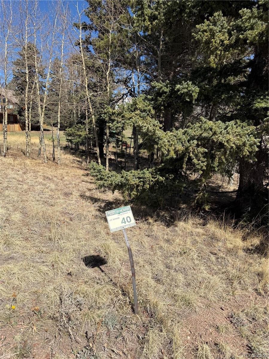 405 Meadow Park Drive Divide CO 80814