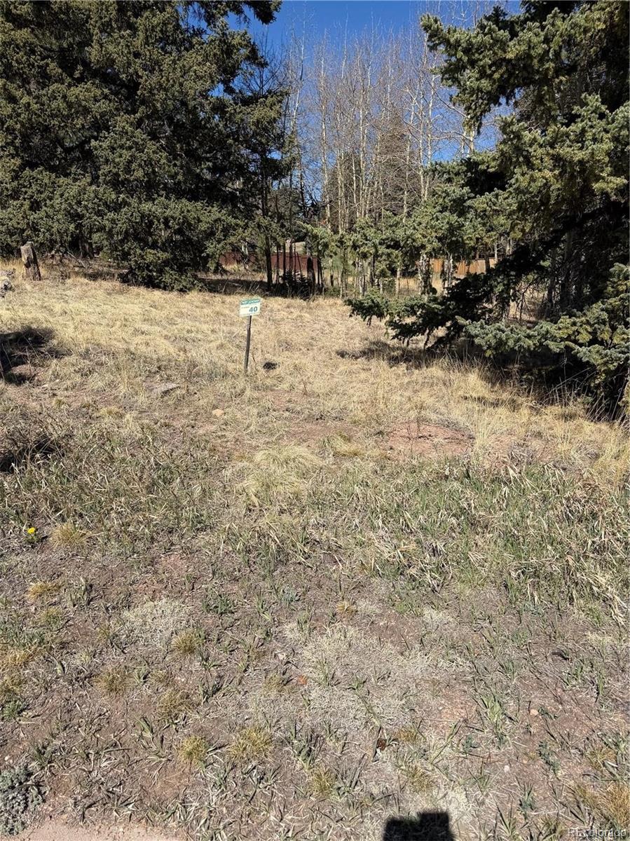 405 Meadow Park Drive Divide CO 80814