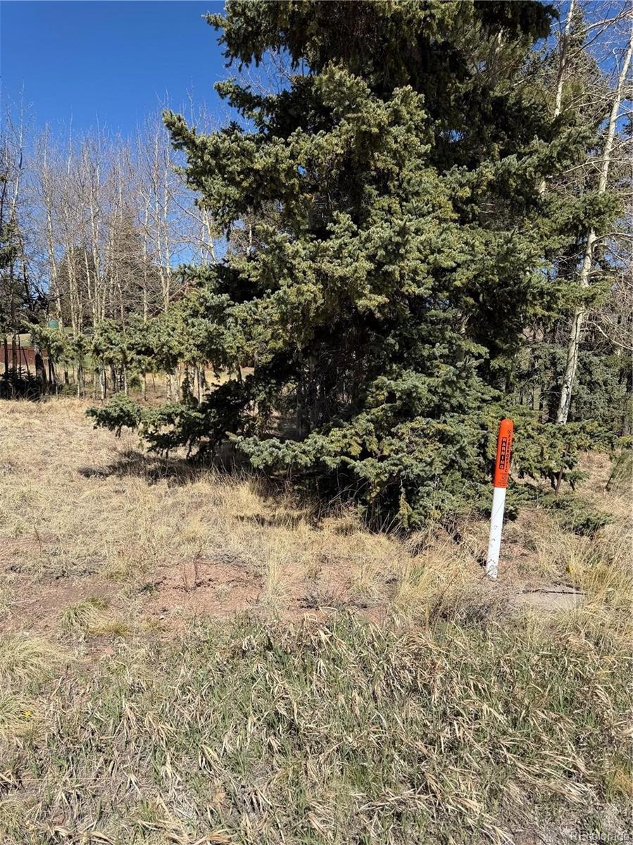 405 Meadow Park Drive Divide CO 80814
