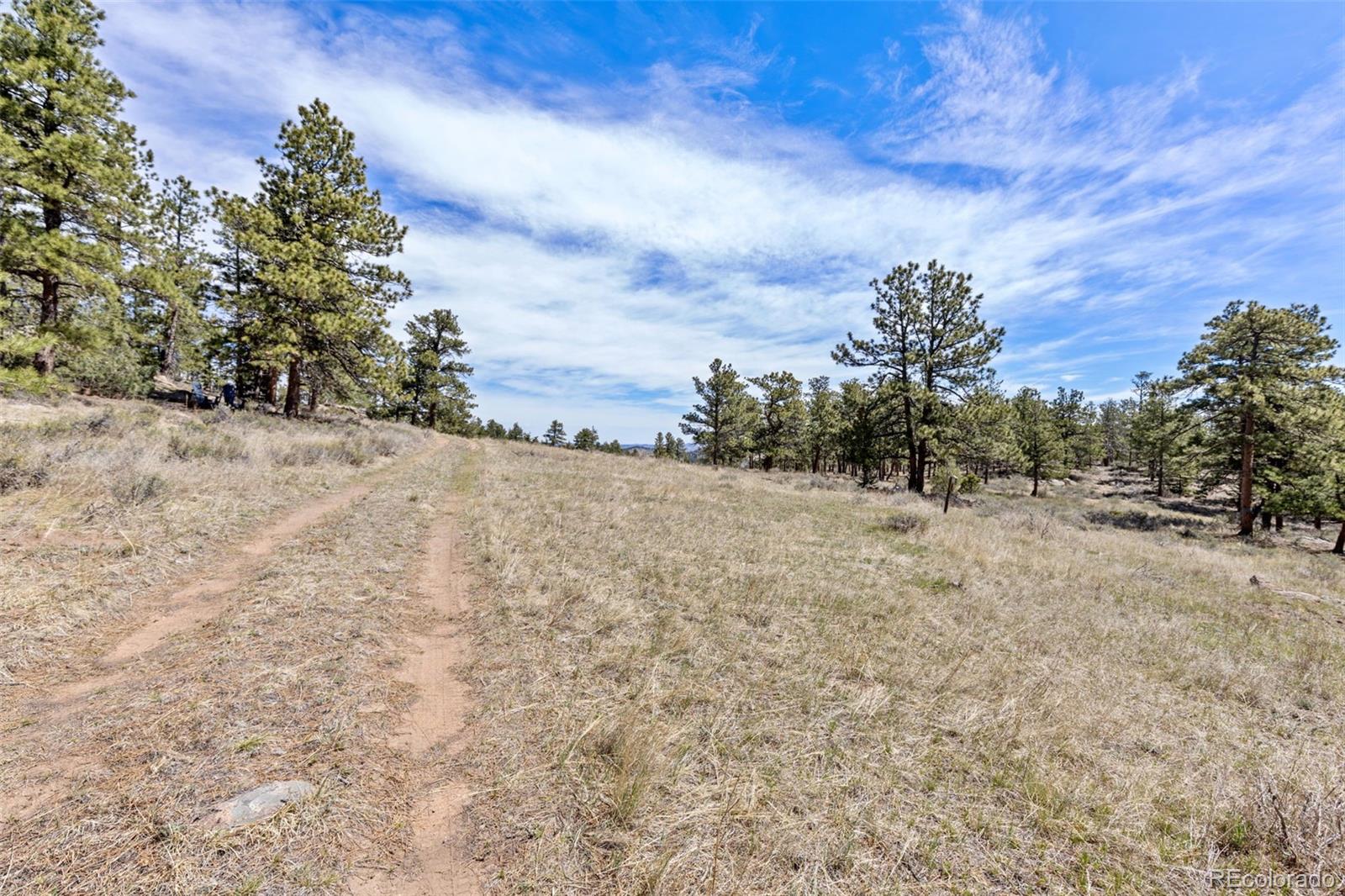 13118 County Road 67j Livermore CO 80536