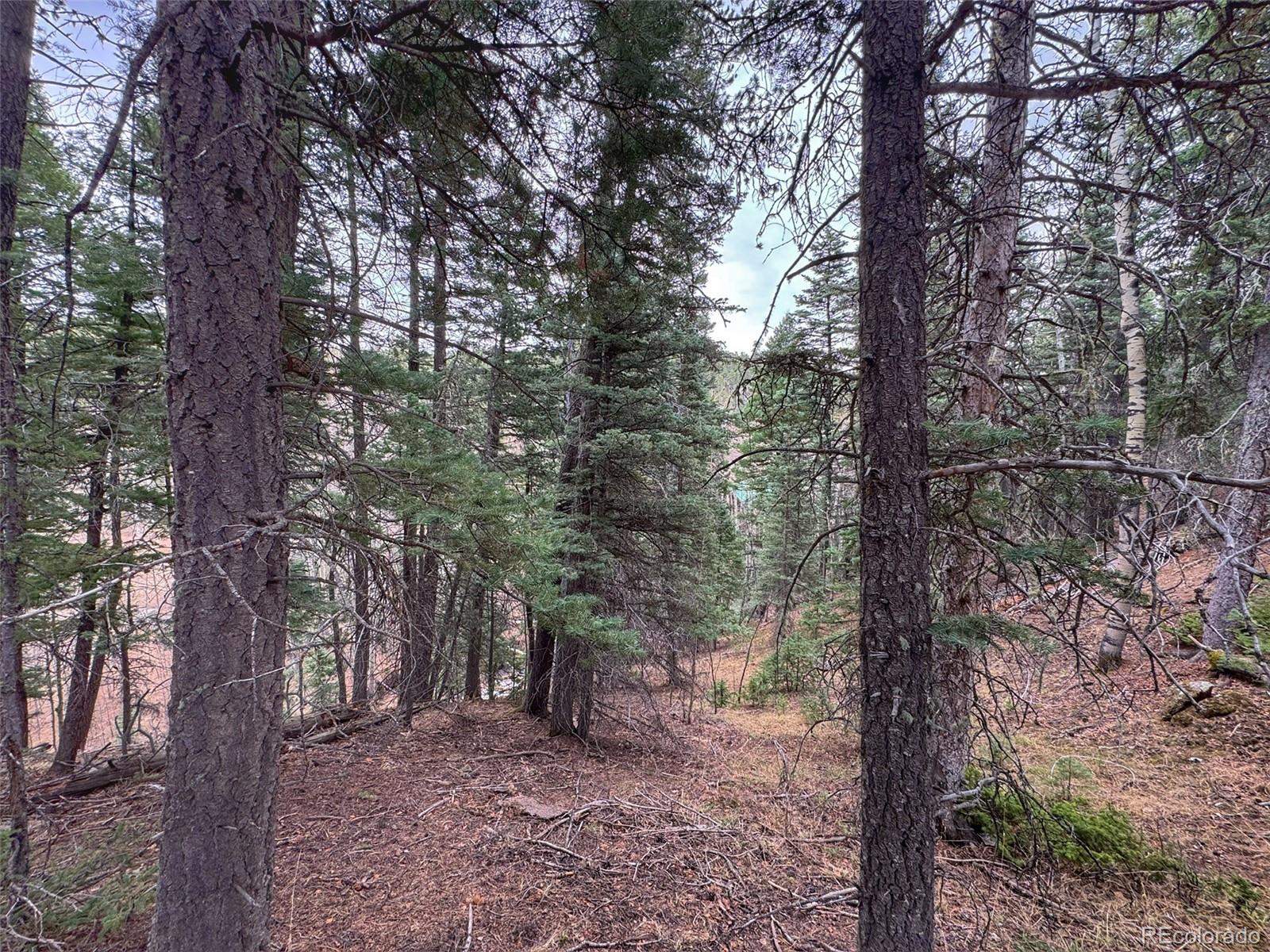 132 Aspen Acres Rye CO 81252
