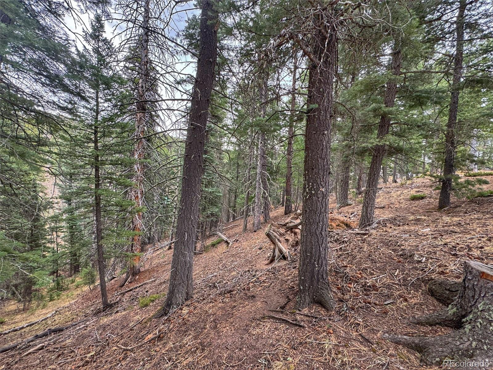 132 Aspen Acres Rye CO 81252