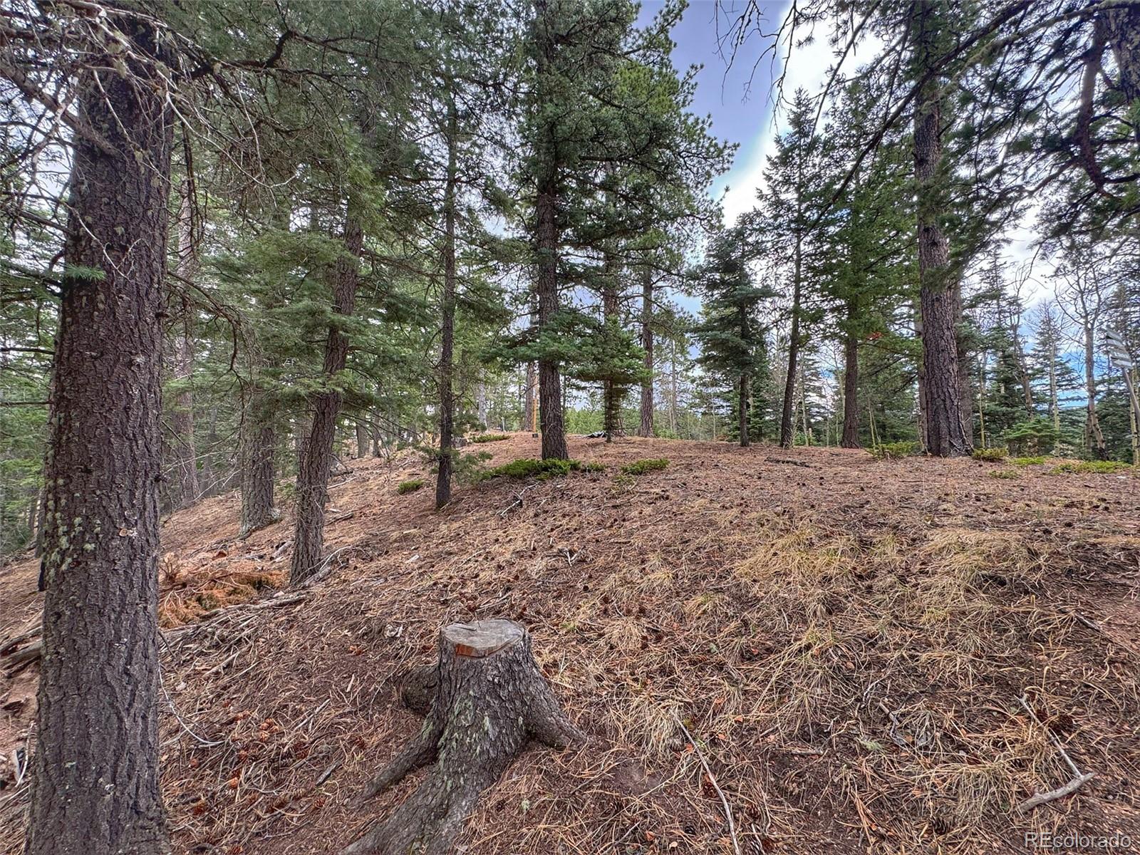 132 Aspen Acres Rye CO 81252
