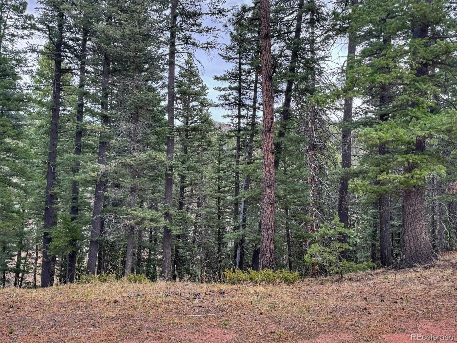132 Aspen Acres Rye CO 81252